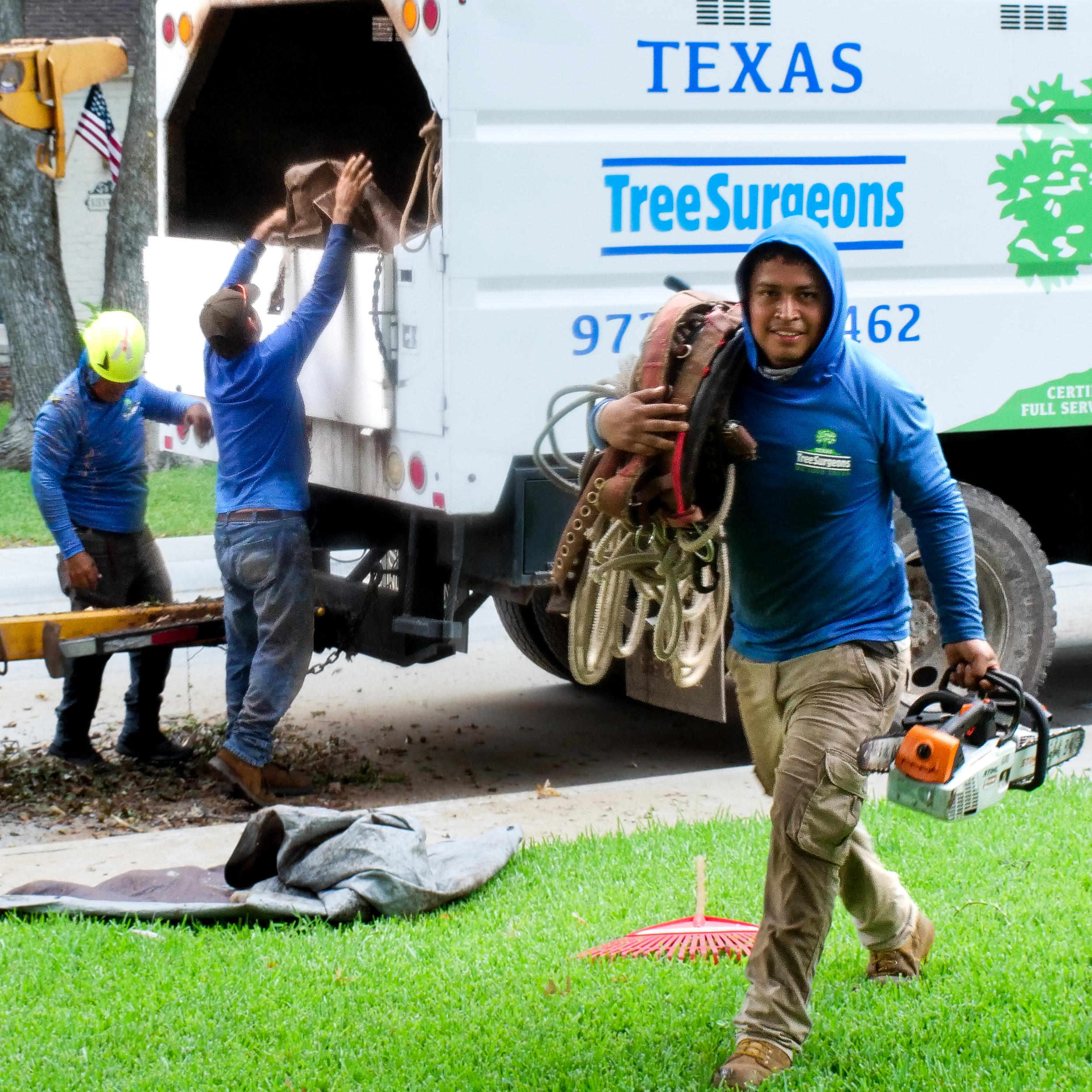 McKinney Tree Trimming