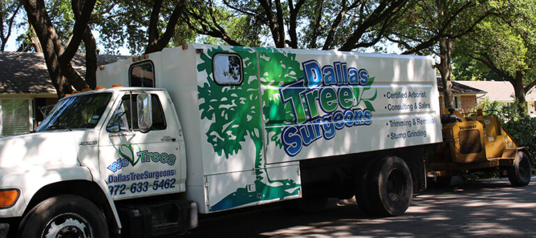 Dallas - Tree Care Trimming Removal Service Dallas Texas Tree Surgeons