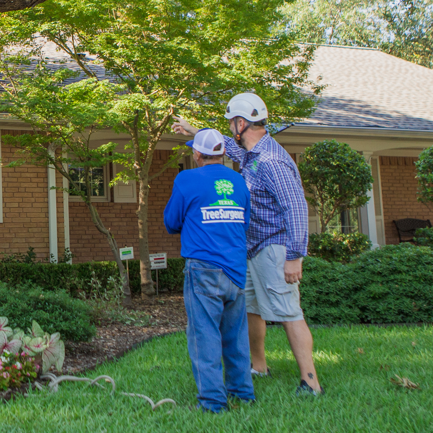 Frisco Arborist Services
