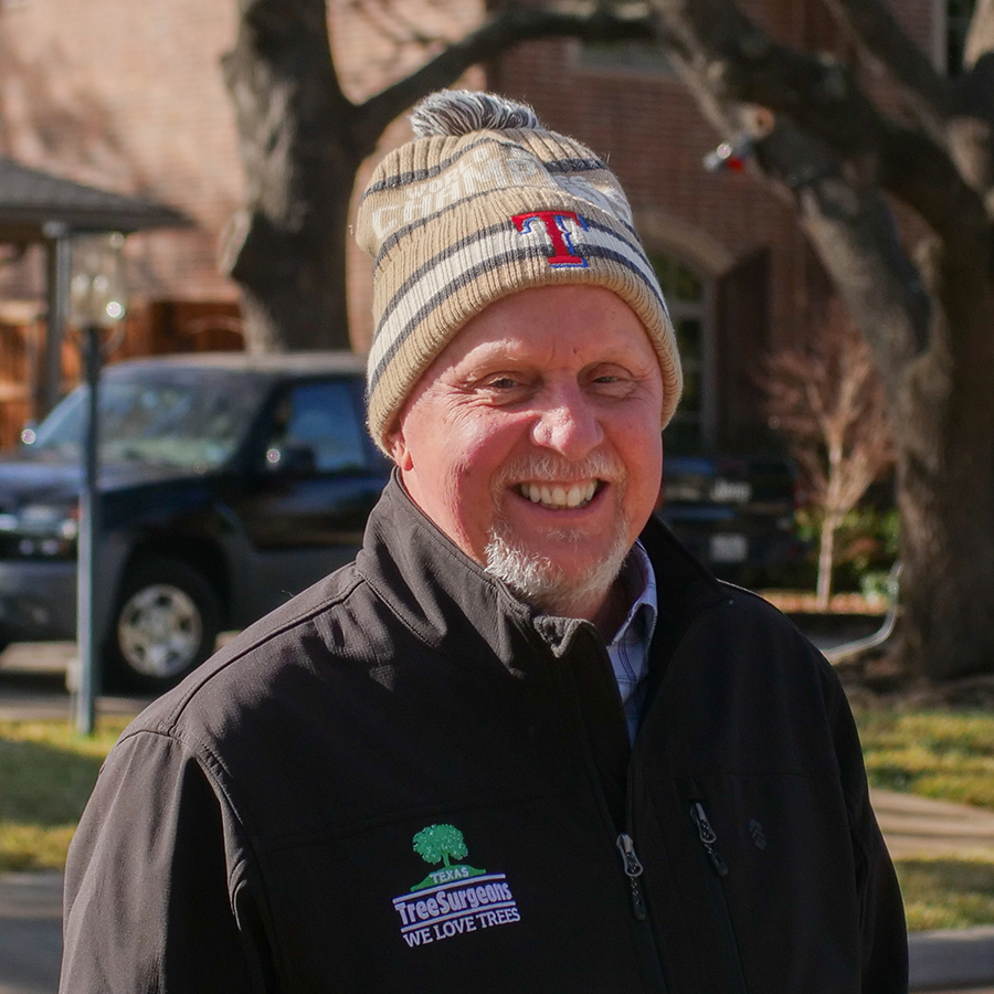 Addison Arborist Services