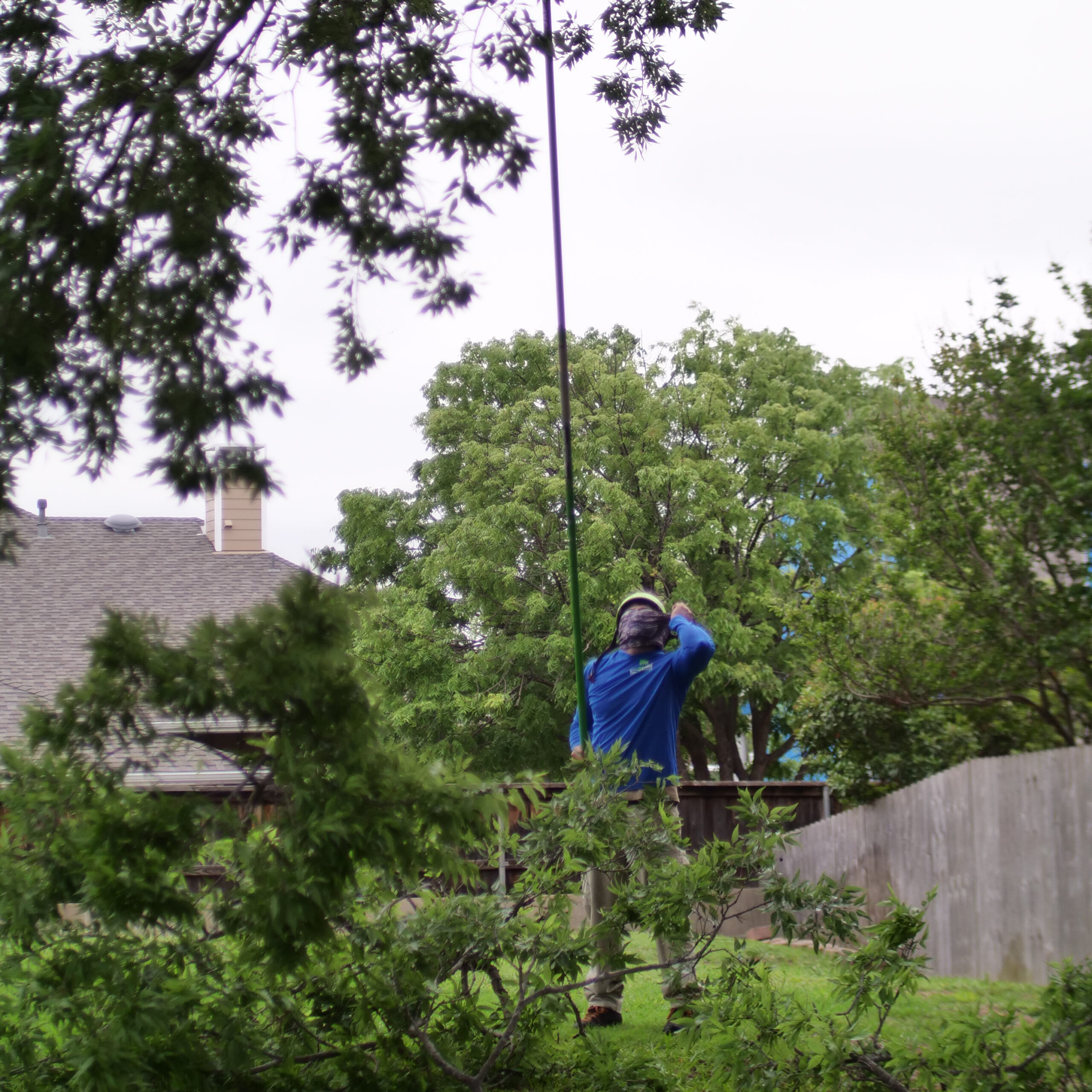 Coppell Tree Trimming