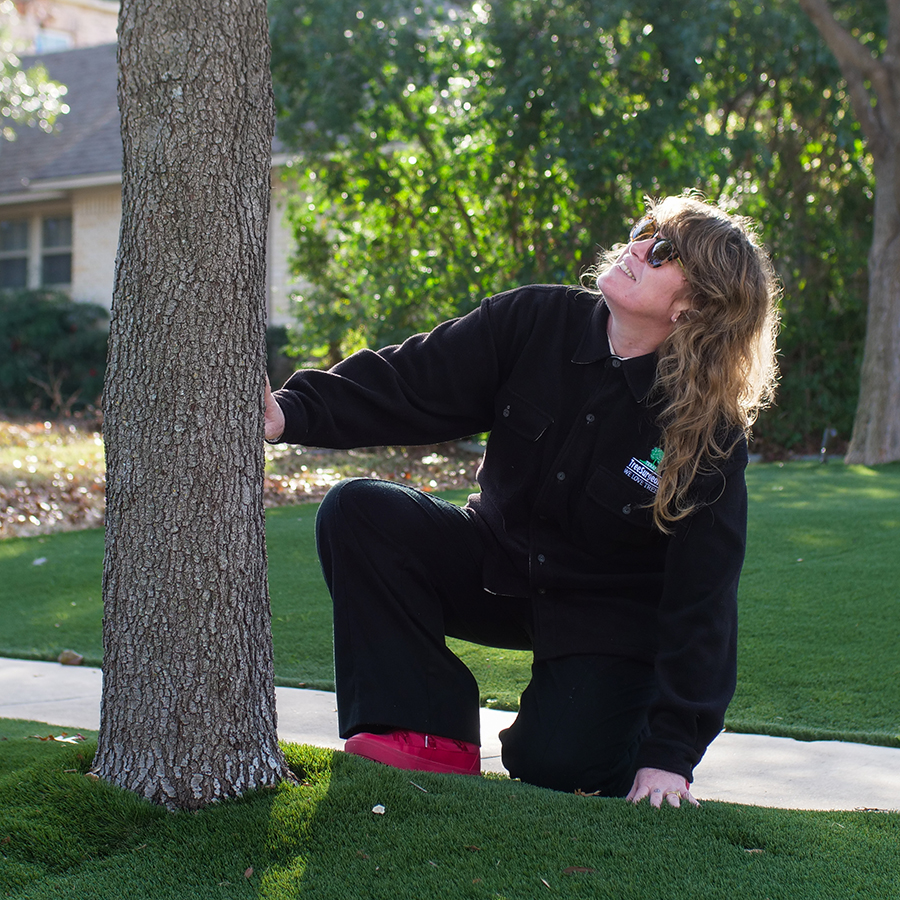 Coppell Arborist Services