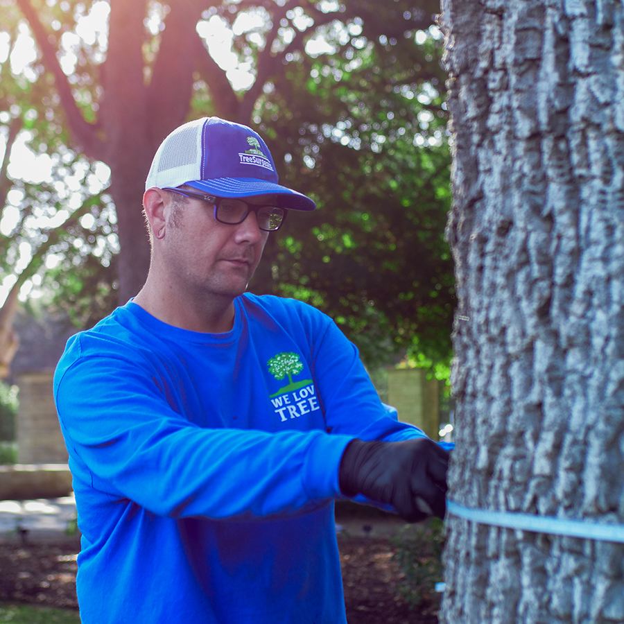 Colleyville Tree Health Care