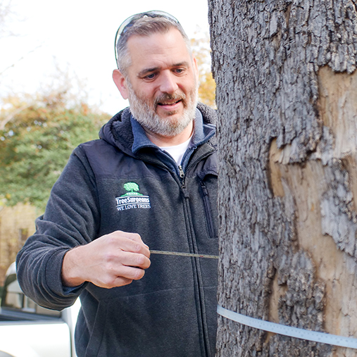 Irving Arborist Services