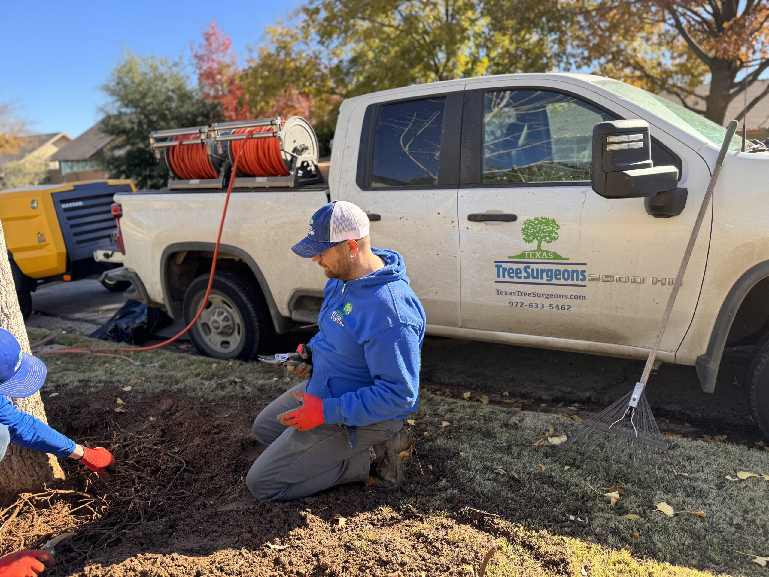 Irving Tree Health Care
