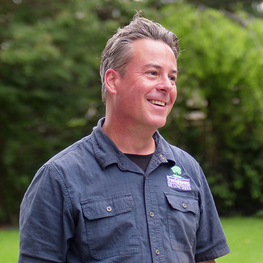 Arlington Arborist Services