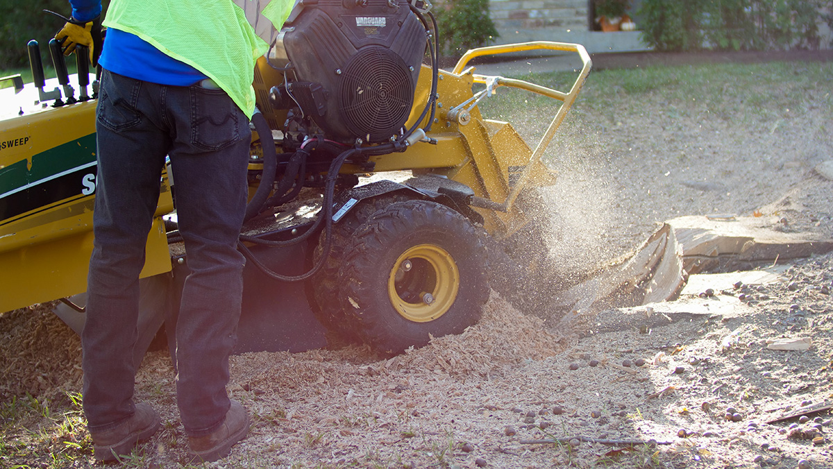 Stump Grinding