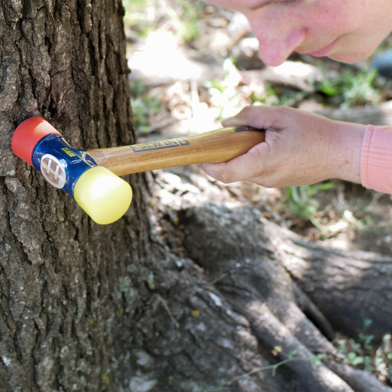 DIAGNOSING TREE