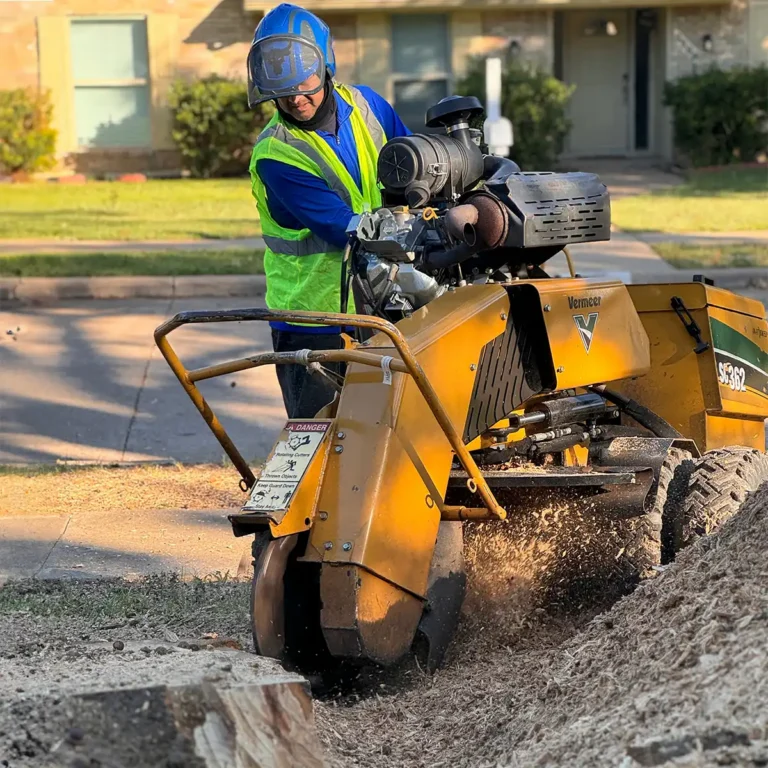 STUMP REMOVAL