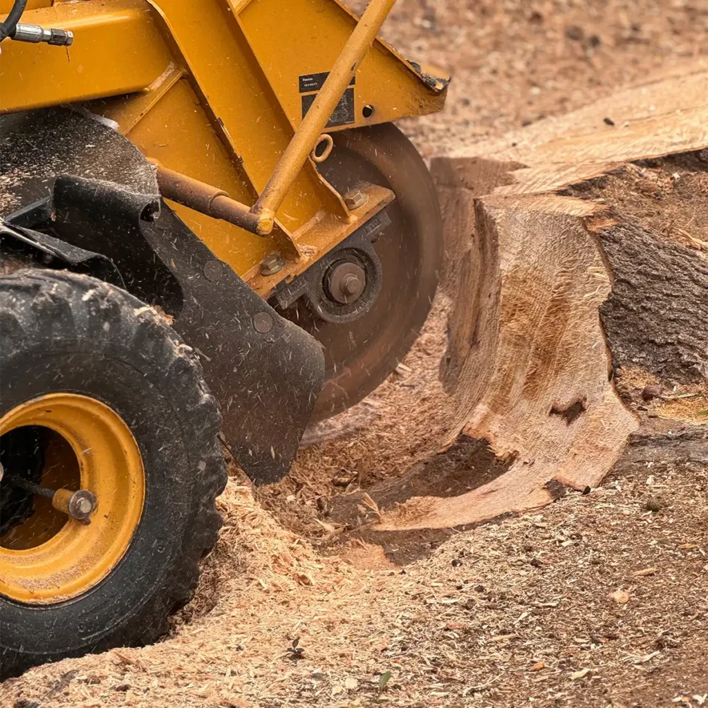STUMP GRINDING