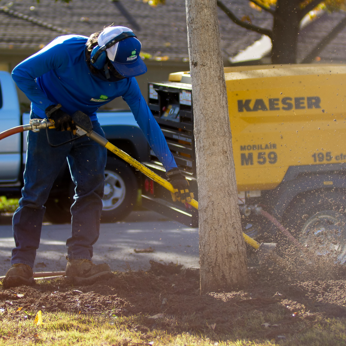 Trophy Club Tree Health Care