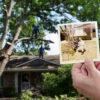 Customer holding photo from 1970 of herself and dad in front of the same red oak