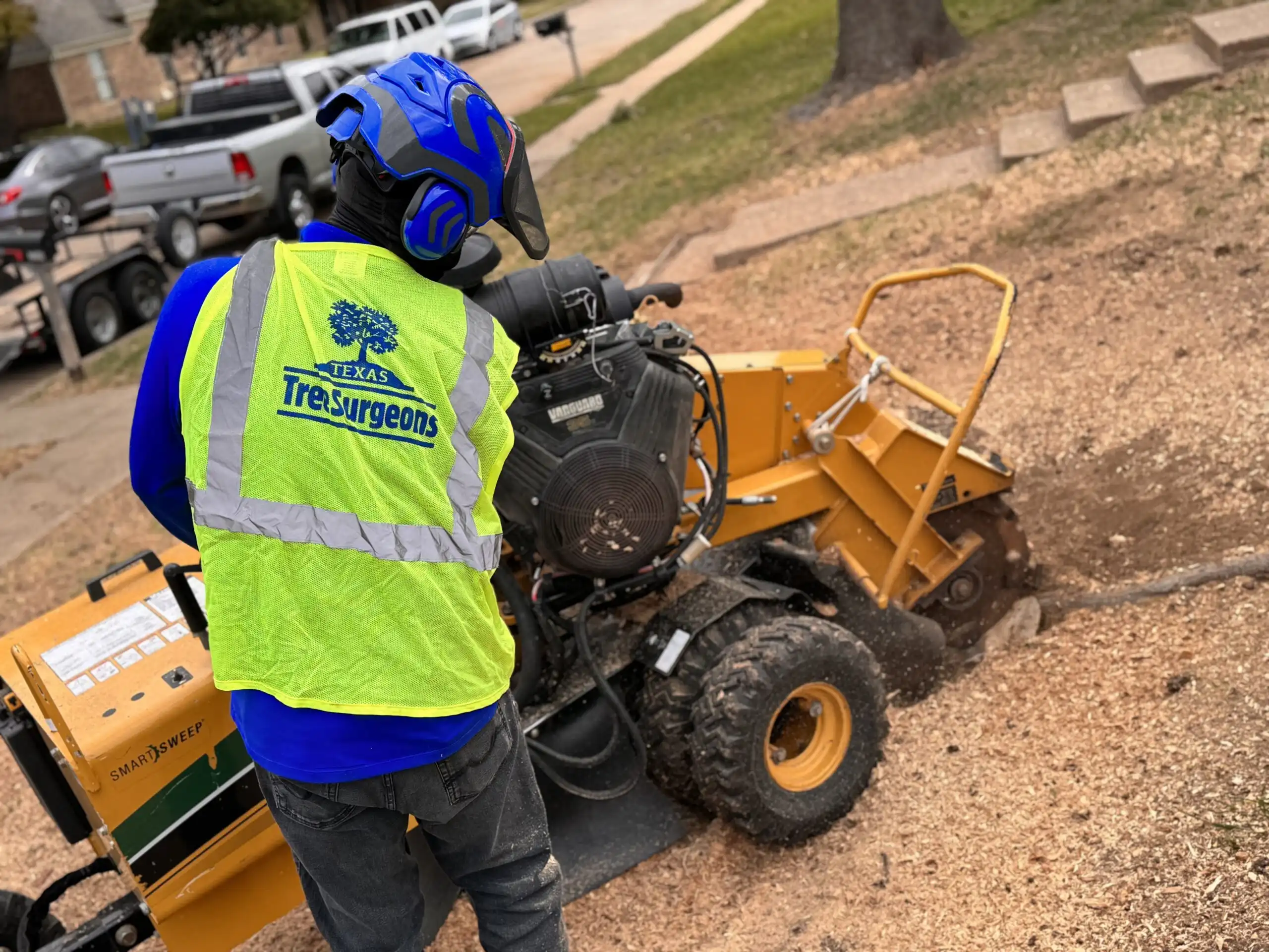 Tree Stump Removal | Stump Grinding Service in Dallas, Texas