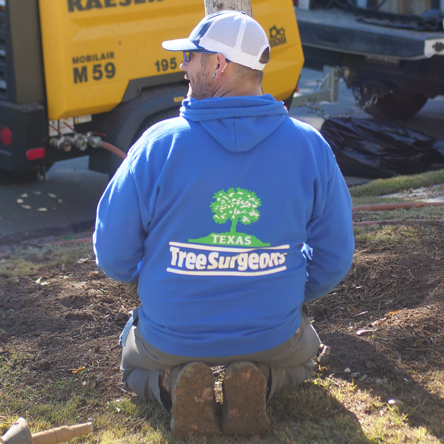 Garland Tree Health Care