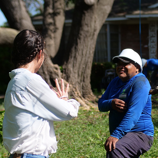 Garland Tree Trimming