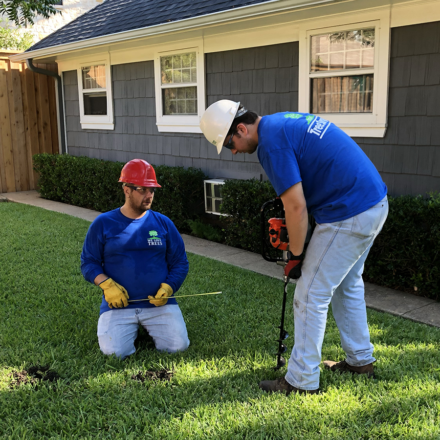 Carrollton Tree Health Care