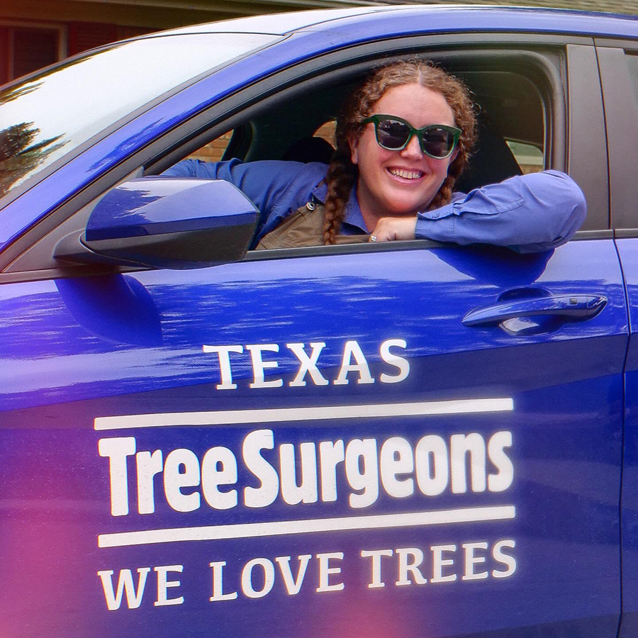 Lewisville Arborist Services