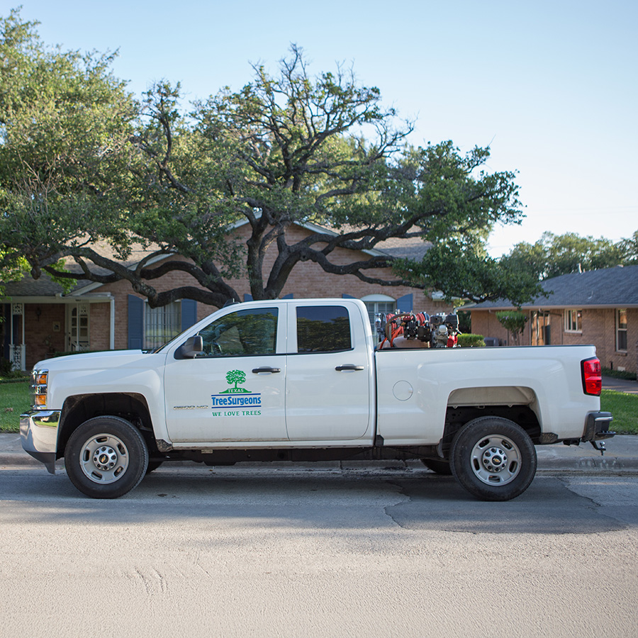 Murphy Tree Health Care