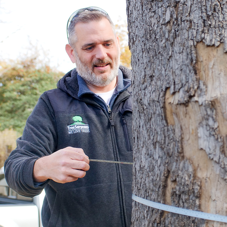 University Park Arborist Services