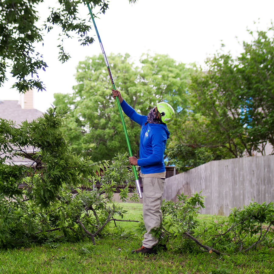 University Park Tree Trimming