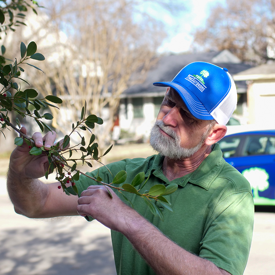 Allen Arborist Services