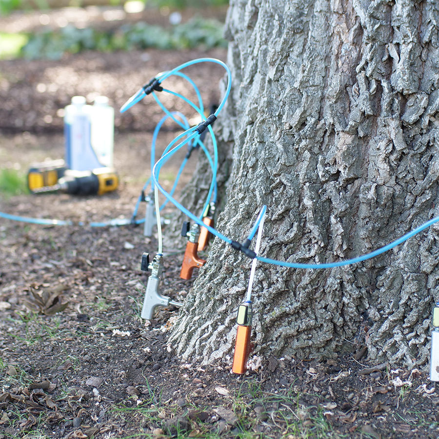 Addison Tree Health Care