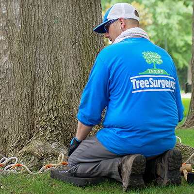 Coppell Tree Health Care
