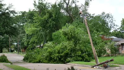 Emergency Tree Work