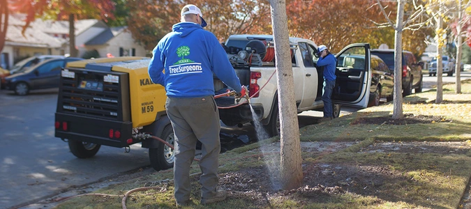 Fertilization and Soil Amendments