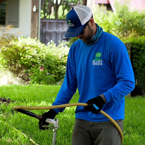 Euless Tree Health Care