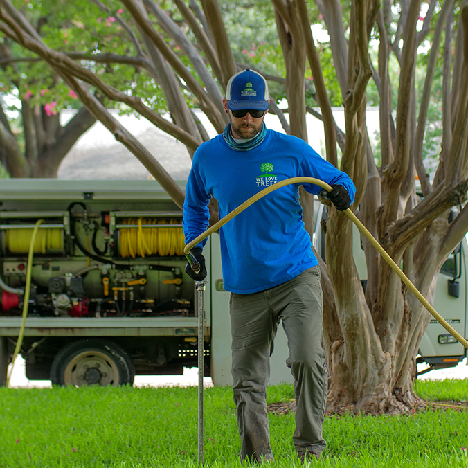 Grand Prairie Tree Health Care