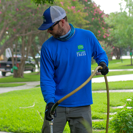 Farmers Branch Tree Health Care