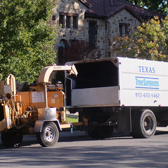 Farmers Branch Tree Removal