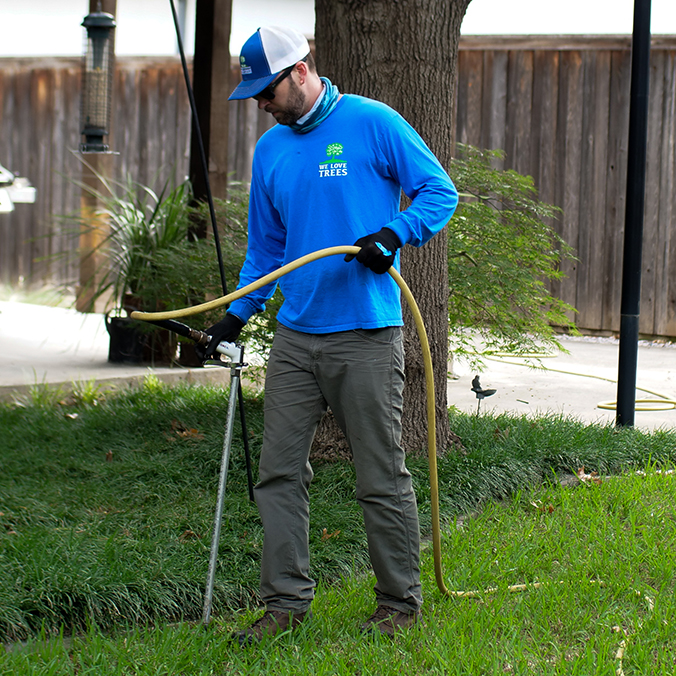 Prosper Tree Health Care