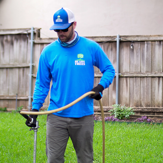 Mesquite Tree Health Care