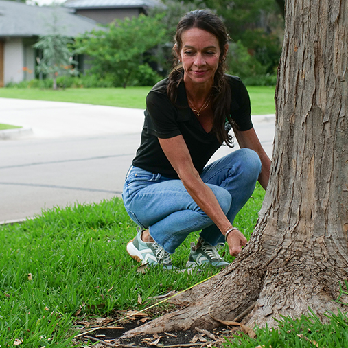 Mesquite Arborist Services