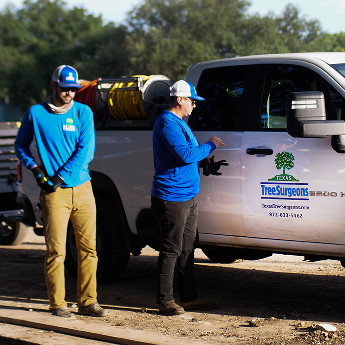 Grapevine Arborist Services