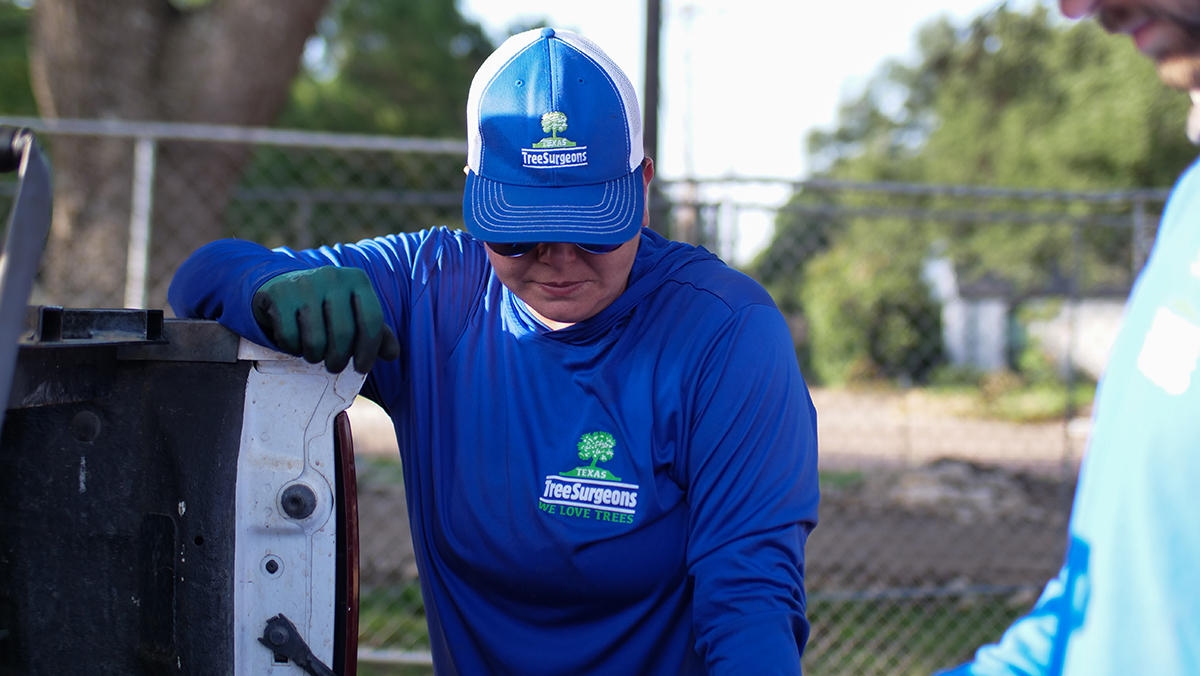 Grapevine - Tree Care Trimming Removal Service Dallas Texas Tree Surgeons