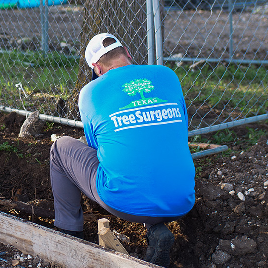 Wylie Arborist Services