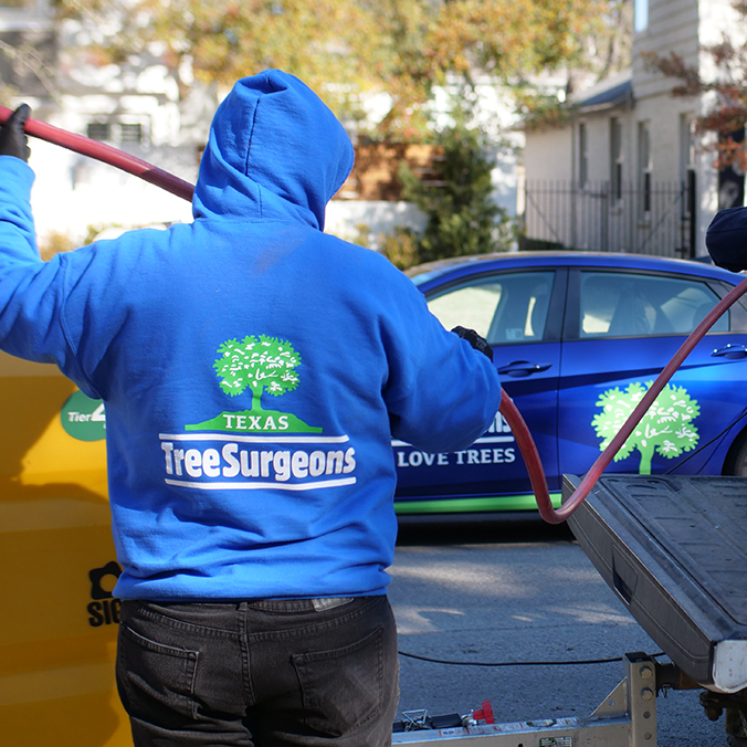 North Richland Hills Arborist Services