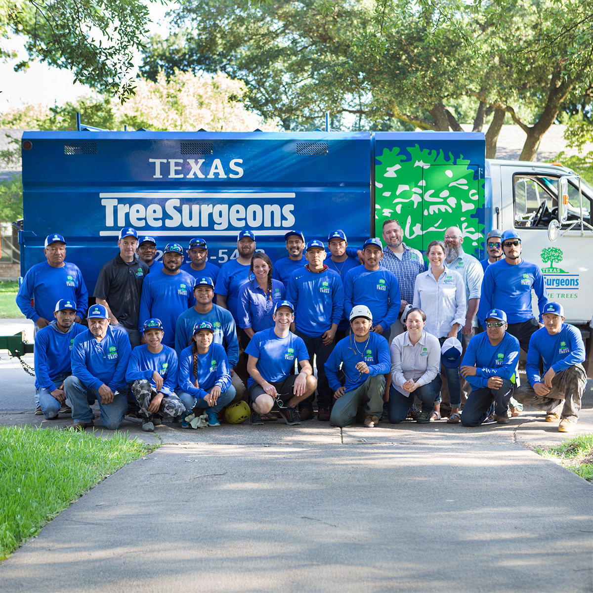 Rockwall Tree Removal