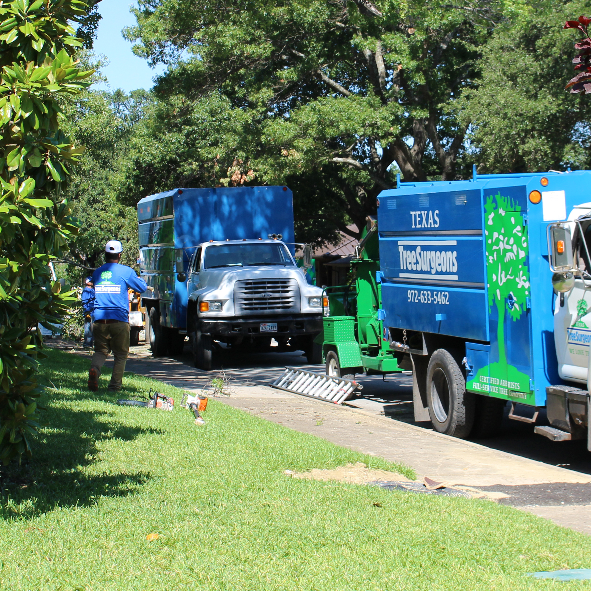 Rockwall Tree Trimming