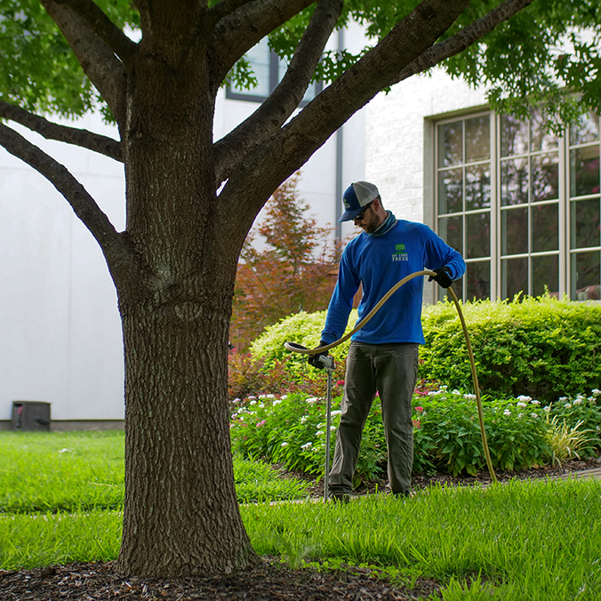 Rockwall Tree Health Care