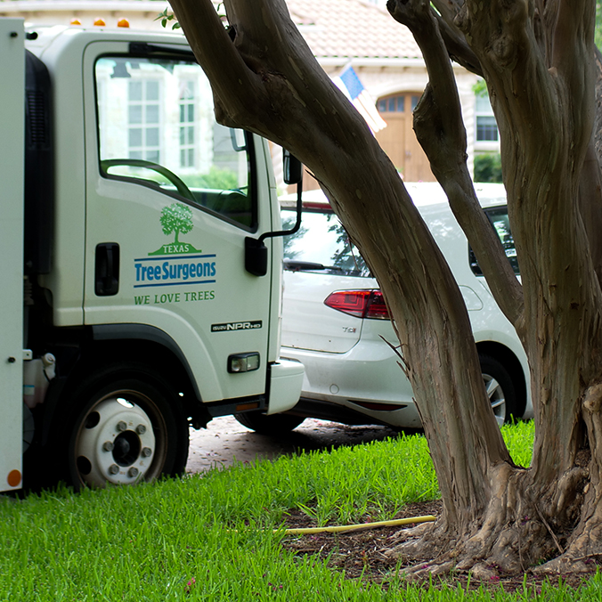 Southlake Tree Health Care