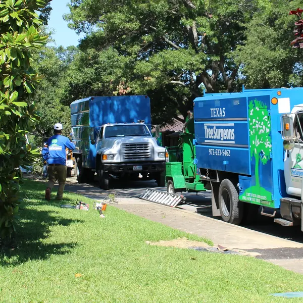 Rockwall Tree Trimming