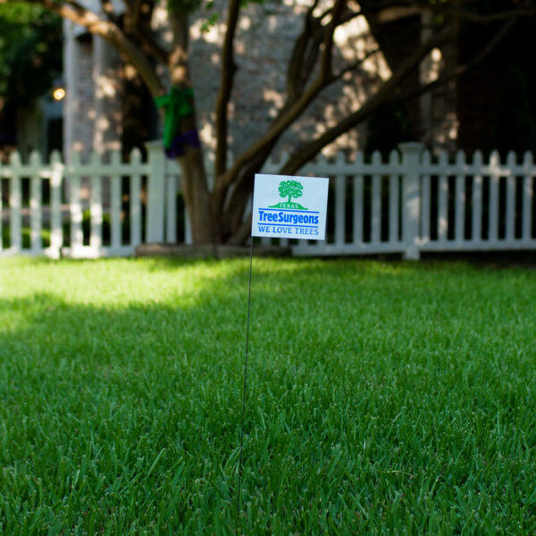 Tree Planting Texas Tree Surgeons location of where tree will be planted