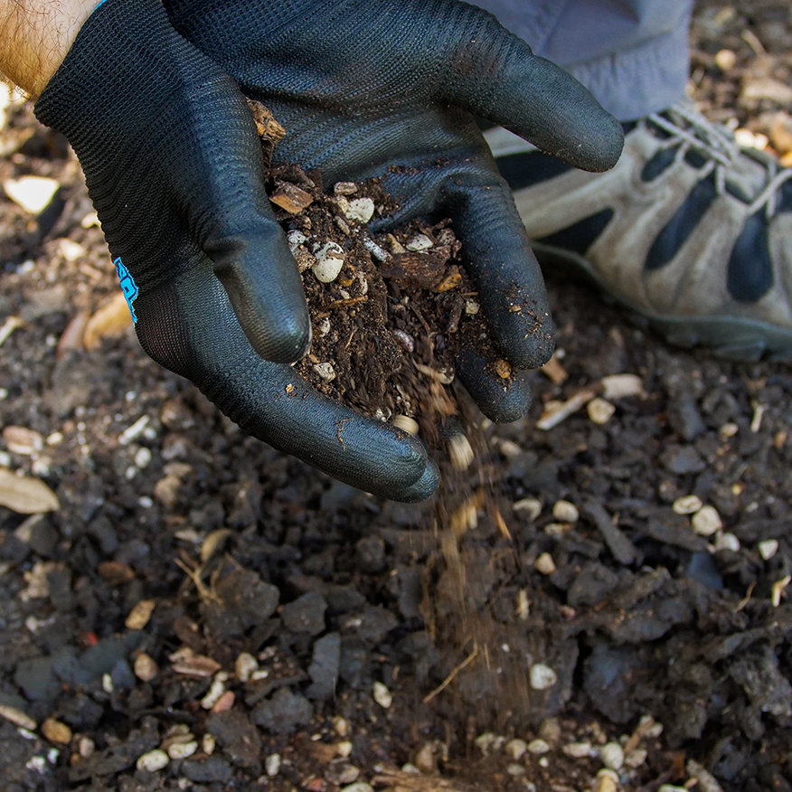 Soil Health