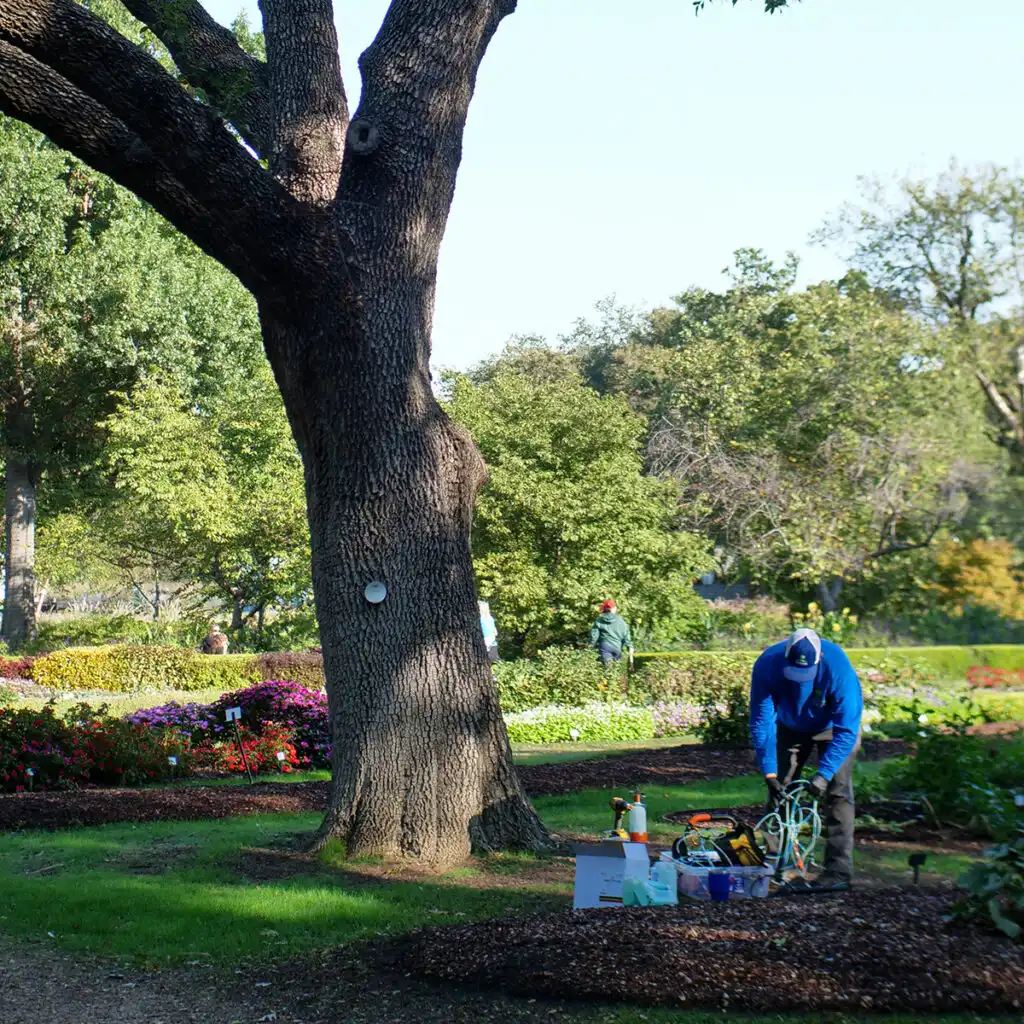EAB PREVENTATIVE TREATMENT