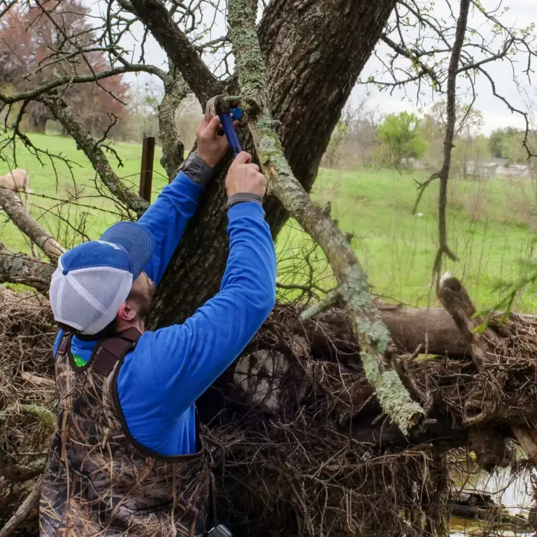 CONSULTING | TREE SURVEY