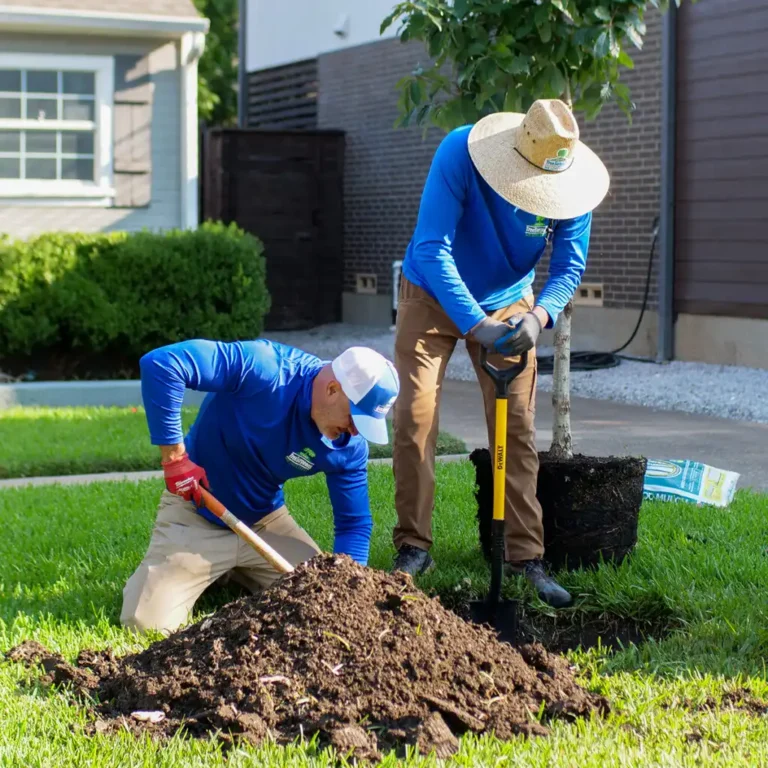 PROPER PLANTING TECHNIQUES
